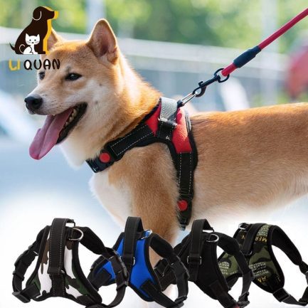 Menstrual collar for dogs in a variety of colors