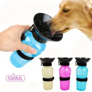 Portable water bottle adapted for the animal