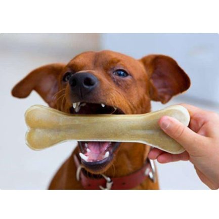Leather bone bite toy for dog