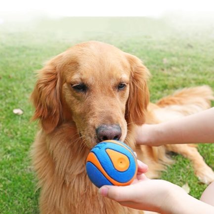 Chewable ball and game for the dog