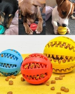 A game ball for the dog to keep the teeth and enjoy