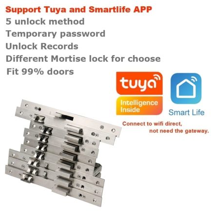 Raykube wifi electronic door lock with tuya app remotely / biometric fingerprint / smart card / password / key
