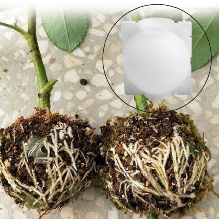 5pcs plant rooting ball, growing box, 5/8cm in diameter.